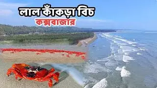 লাল কাঁকড়া বিচ কক্সবাজার  lal kakra beach cox's bazar