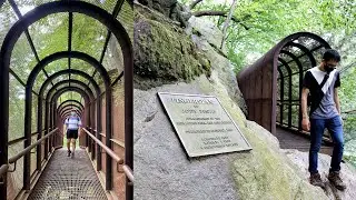 Hiking to Fingerspan Bridge 🥾 周末行山，在家门口的宝藏森林