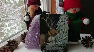 26 дек. 2025 г. ❄️🎄Ежедневное послание ангела ~ УДАЛЕНИЕ ЛЮДЕЙ С НИЗКИМ УРОВНЕМ ВИБРАЦИИ!