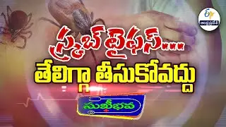 తవిటి పురుగు... తేలికగా తీసుకోవద్దు  |  Why Scrub Typhus life threat? | Sukhibhava | 5th Jan 2026