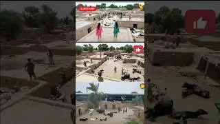 Massive Village Flood with Green Train Trapped in Water