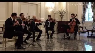 SPN Events String Quartet and Flute Ensemble