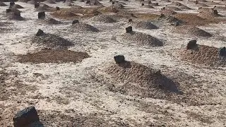 Jannatul Baqi | Oldest And First Islamic Al Baqi Cemetery Of Medina | Rabbani Travel | Aug 2023