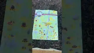 A year of native plants from seed to flower. This is Bee Happy Mix from Native American Seed. Enjoy!