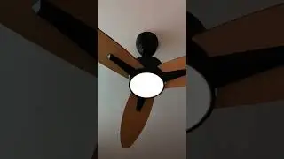 sturlite ceiling fans #youtubeshorts #fans #shorts #ytshorts #designerfans