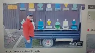 Modularul meu si anul acesta salcamul va da nectar mult