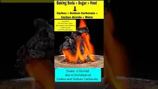 Black Snake firecracker सांप की गोली वाला बम 🐍 #shorts #viral #trending #science #experiment #facts