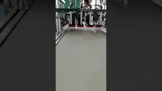 12 Cavities PET Preform Tail Cutting Device with Conveyor