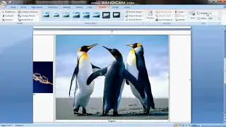 How to insert images into Word document table  - Kako umetnuti slike u tablicu Word dokumenta