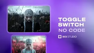 Creating A Toggle Switch In Wix Studio
