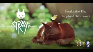 Productive Day Trophy/Achievement (Stray)