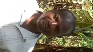 Ubuhinzi bwa Vanilla mu Rwanda nicyo gihigwa cyambere kwisi kinjiza agatubutse . Vanilla plantation.