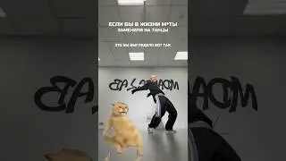 Правда же😂 #никитамусатов #dance #трендытиктока #dancer #dancechallenge