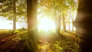 Good Morning Music - Positive Feelings Music - Refreshing & Relaxing Sounds | Stillness Zone