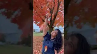 Autumn #2025 #fallcolors #fallguys #autumn #spring #usateluguvlogs #usashorts #fallshorts #viralfall