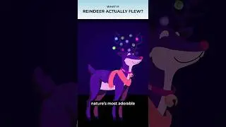 Can reindeer actually fly? 🦌✨