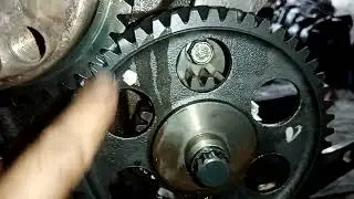 6d15 timing gear #mager #bryanlavado