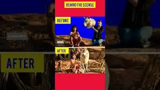 Movie Enigma Unveiled: Before and After Behind the Scenes