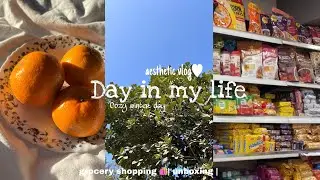 Day in my life 🎀 | aesthetic vlog 🧸| grocery shopping,day out , food 🍛 #minivlog 