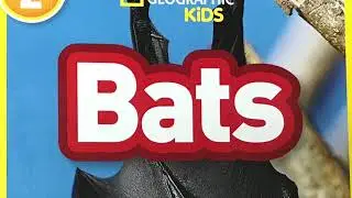 Bats non-fiction day 4