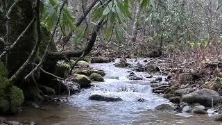 Healing Through Nature TV Presents: Sleepy Mountain Dream