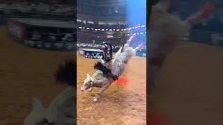 98,25 😱 C&aacute;ssio Dias Barbosa vs Man Hater #shorts #pbr #rodeo #rodeio