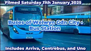 Buses of WGC Bus Station | 11/1/25