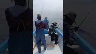 Tripleta de albacora en alta mar sorprendente muy pronto video completo