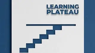Learning plateau 