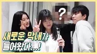 새로운 막내가 생겼어요(feat.우리팀)