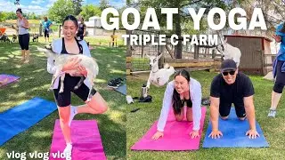 VLOG: GOAT YOGA | So MANY goats !!🐐🐐🧘🐐🐐