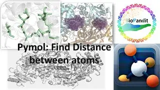 How to find distance in Pymol