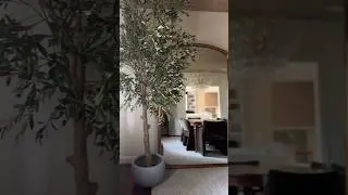 Amazon Home Decor Haul | Artificial Tree | Olive Tree |  Artificial Olive Tree | Best Amazon Gadgets
