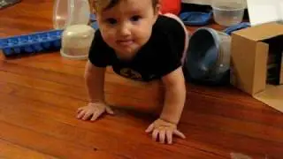 ari monkey