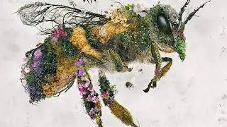 Honey | Anekto x Cimero94 |instrumental y producci&oacute;n x SinTrankass .
