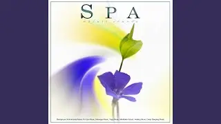Spa Music Relaxation