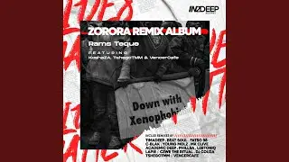 Zorora Academic Deep Dub Mix