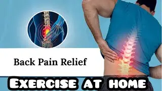  Best Back Pain Relief Exercises | 5 Simple Stretches for Instant Comfort (2025)