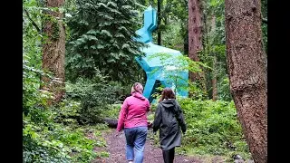 Hillsborough Forest - Augmented Reality & Sculpture Trail
