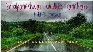 #Narmada #Rajpipla Monsoon || Shoolpaneshwer wildlife sanctuary || narmada tourism