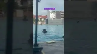 #swimming #kidsvideo #learning #singapore #india #love #cutebaby #family #fun #viralvideo #trending