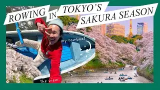 Rowing in Sakura season + Cherry blossoms in Tokyo's Chidorigafuchi Park | Vlog 199