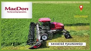 MacDon M1170 savaeigės pjaunamosios DEMO Kėdainių raj.