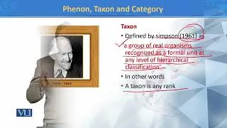 Phenon Taxon and Category | Principles of Systematics | ZOO511T_Topic176