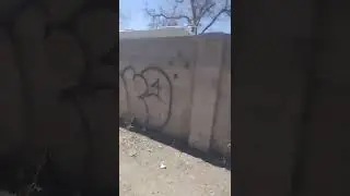 Crips & Norte&ntilde;os (Albuquerque, NM)