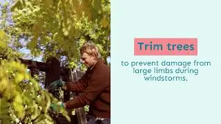 Home Maintenance Tips