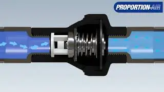 EcoReg Miniature Safety Regulator