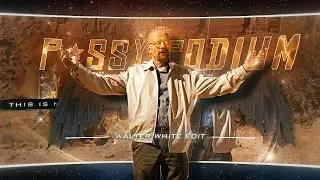 Pussypodium - Walter White - BREAKING BAD EDIT
