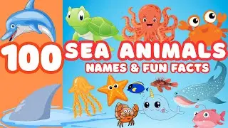 Learn 100 SEA ANIMAL Names & Fun Facts | Educational Video for Kids & Toddlers