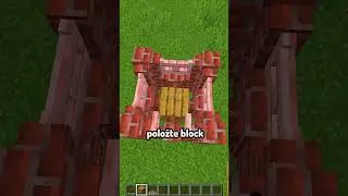 Nejlep&scaron;&iacute; Kurn&iacute;k v Minecraftu... #theboov #minecraft
